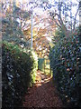 Footpath across Hearsall golf course