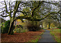 Footpath in Muchall Park, Wolverhampton