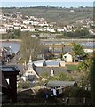 Shaldon from Oak Tree Grove