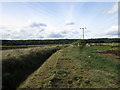 Drain, footpath and Owthorpe Wold