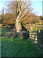 Halifax FP527 approaching Old Riding Lane, Warley