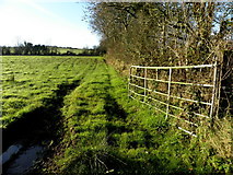 H4760 : An open field, Derrybard by Kenneth  Allen