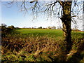 Garvallagh Townland