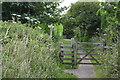 Footpath entering Westerton