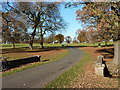 Bridge and roads in Packington Park