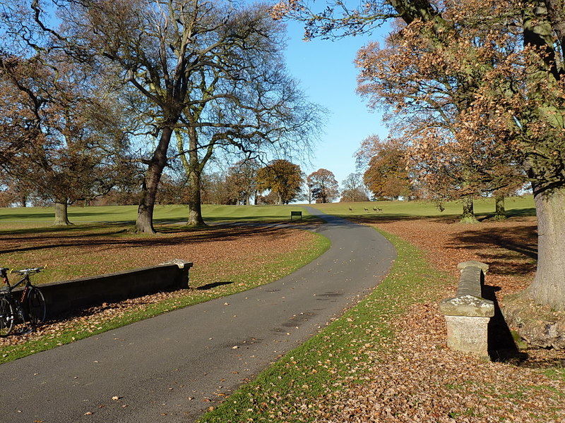 Bridge and roads in Packington Park © Richard Law cc-by-sa/2.0 ...