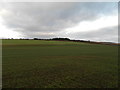 Farmland on the lower slopes of Lorns Hill