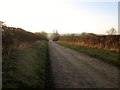 Track  and  bridleway  toward  B1253