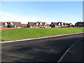 Dwellings near the junction of Glenvale Road and the A25 (Rathfriland Road)