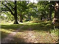 The old road through Brickwall Deer Park, Northiam