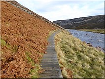 NY8228 : Boardwalk on the Pennine Way beside the River Tees by Oliver Dixon