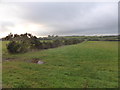 Farmland near Rhostrehwfa