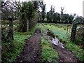 Muddy field entrance, Lurganglare