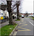 Zigzag markings on Lime Tree Avenue, Broadway