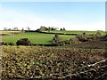 Farmland on the north-east side of Glenvale Road