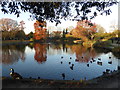 The remains of the moat of Valence House