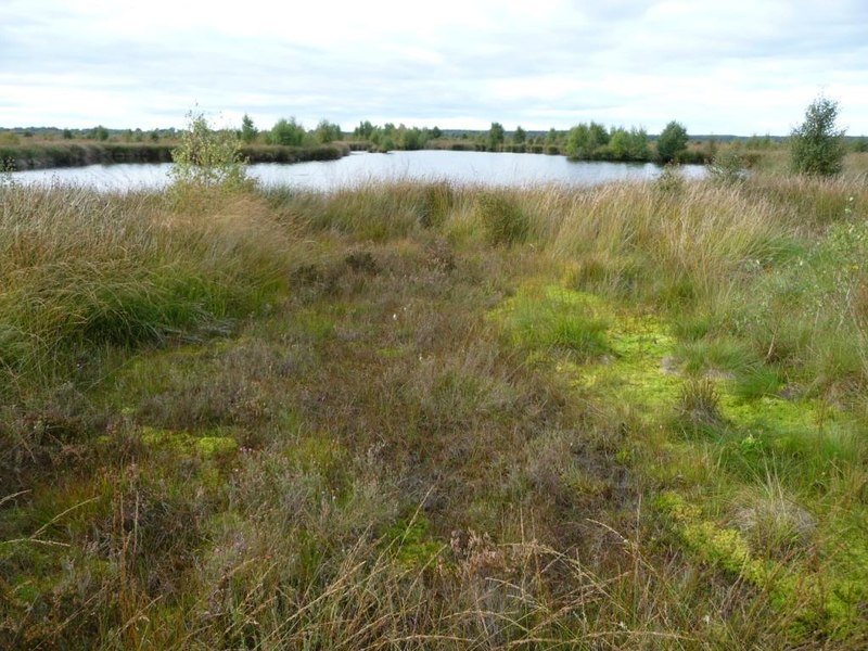 Larger pool created by peat extraction,... © Christine Johnstone cc-by ...