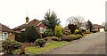 Front gardens in Streetlands