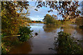 Mid Devon : Floodplain