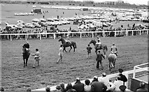 SJ4065 : Chester Races, May 1977 by Jeff Buck