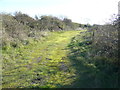 Looking SE along a former railway line