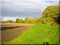 SK6845 : Field edge footpath alongside Dover Beck, Caythorpe by Richard Vince