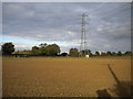 SK6846 : Pylon in a field west of Hoveringham by Richard Vince