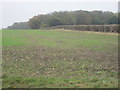 Harcamlow Way bordering Moat Wood