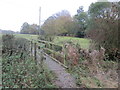 Footbridge over a stream south of Widbury Wood