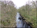 NZ0614 : River Tees downstream of Abbey Bridge by Anthony Foster