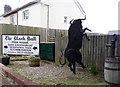 Sign for the Black Bull Inn, Balsham