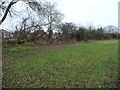 The former Stairfoot lock flight, Dearne & Dove Canal [3]