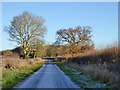 Lane towards Tingewick