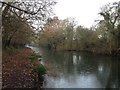 Grand Union Canal towpath