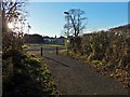 Path to Cardross Road