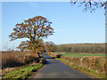 Road towards Litchborough