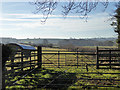 Sheep farming