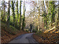 Sunken lane descending into Badby