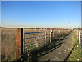 Footpath beside a field