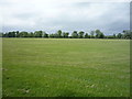 Grassland west of Moulton