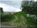 Farm track (footpath) off Gazeley Road