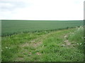 Track and crop field, Upper Green