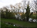 SO5437 : River Wye, Dinedor by Richard Webb