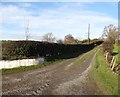 Field access drive on the north side of the middle section of Crobane Road