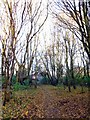 Footpath in Spindleberry Nature Reserve