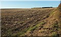 Field above Ten Oaks