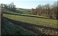 Field near Middle Barlington