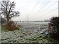 Large gate to a frosty field