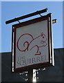 Sign for the Squirrel public house, Coventry