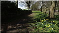 Path beside Cumberstone Lodge, Tittensor